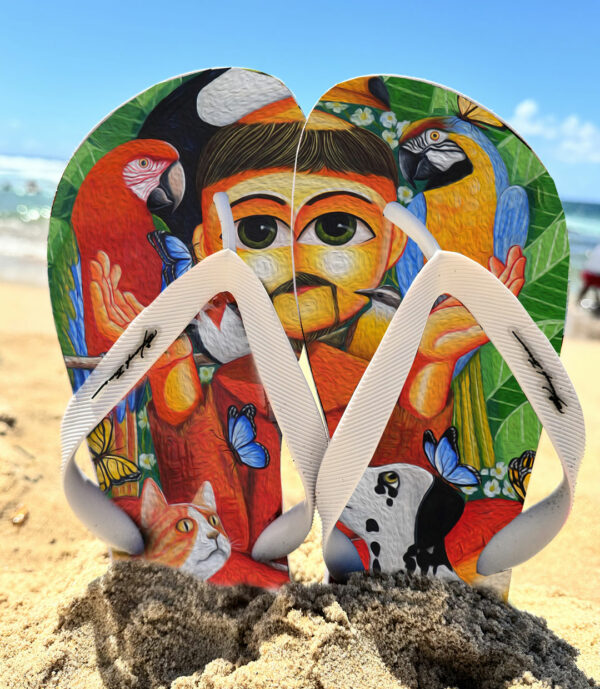 Chinelo São Francisco e o bichos II