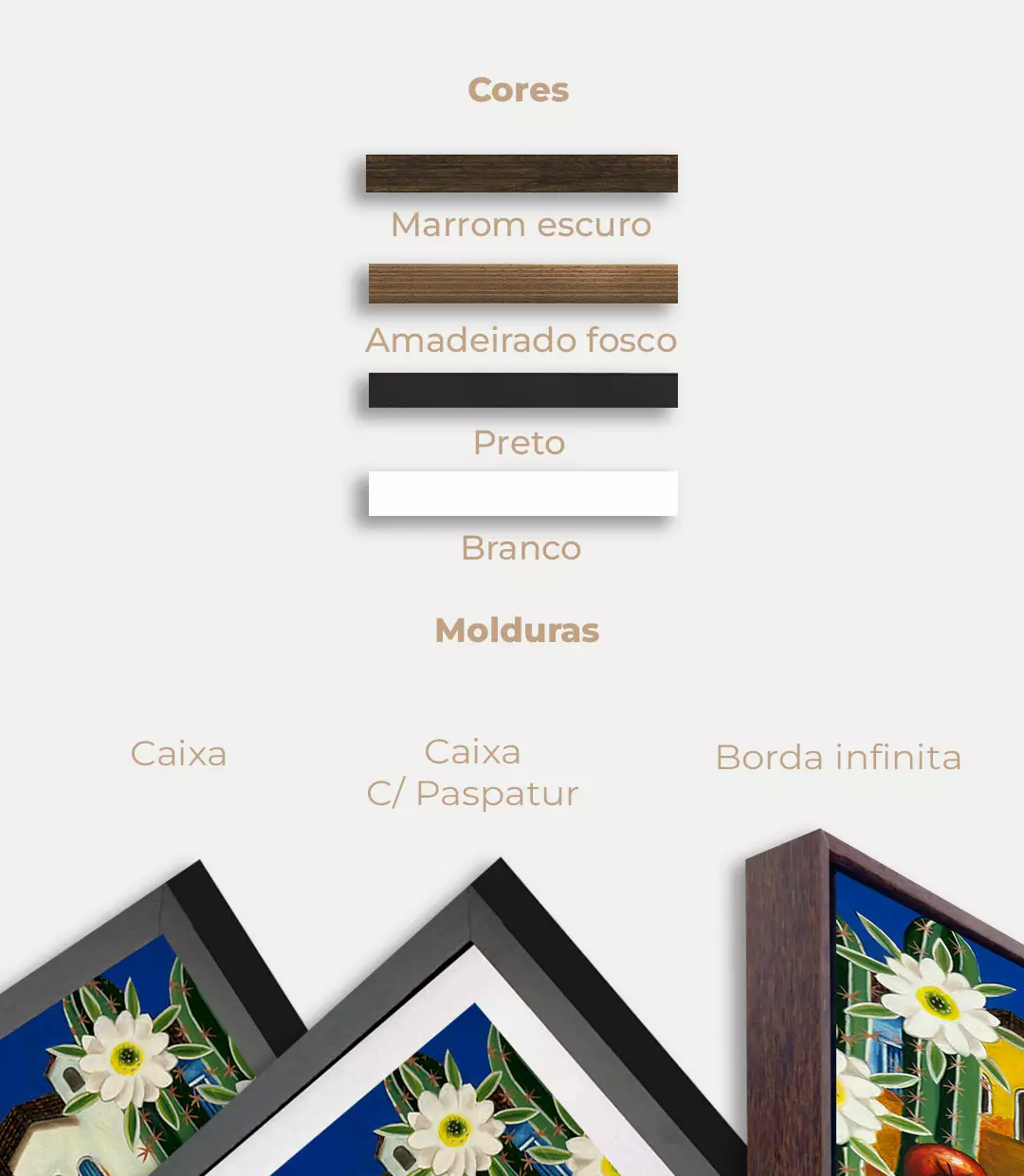 Agradecimento - Imagem 2